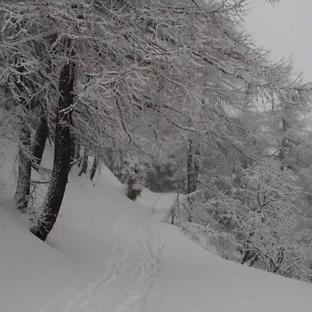 Chaberton & Wood View Sauze D'Oulx